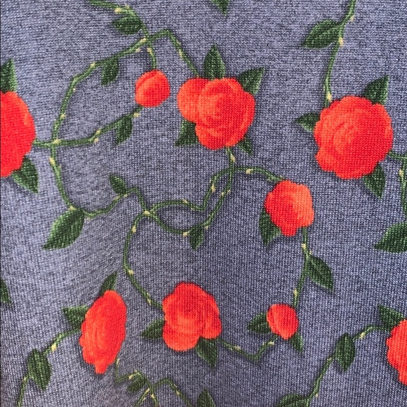 Lularoe Caroline - Picture 3 of 5